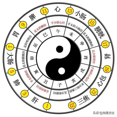 八卦澤意思|易經入門：太極、兩儀、四象、八卦是什麼意思？